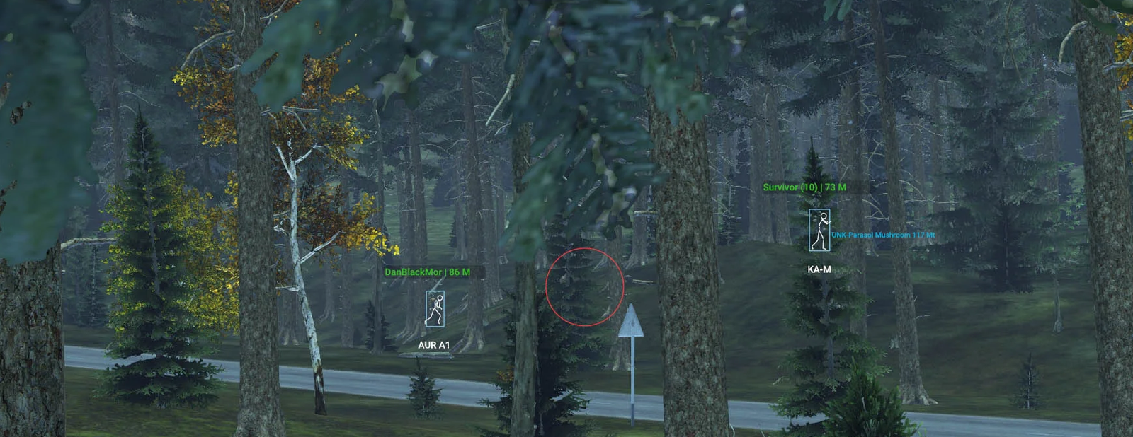 Crusader screenshot 1